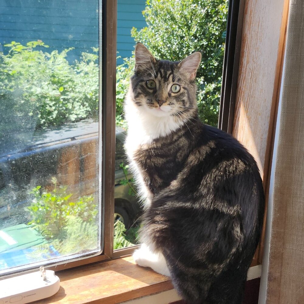 Meet your Posher, Erin